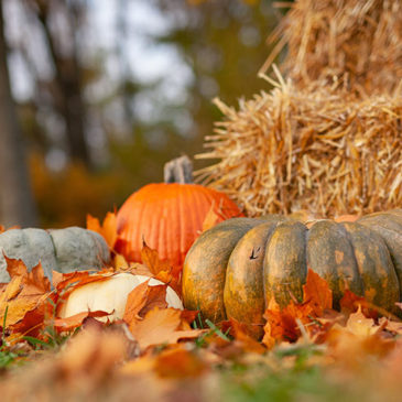 Registration for the CTSRC Fall Conference is Still Open!