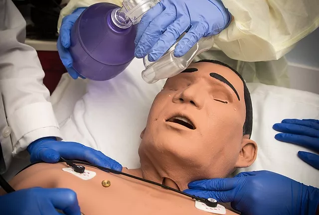 Simulation Simulation